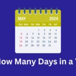 How Many Days in a Year?