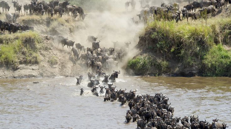 The Great Wildebeest Migration in Tanzania and Kenya